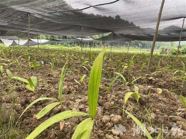 1624627907758954.jpg abac5841-ee2d-4ea6-ae99-d4793d2ba659.jpg